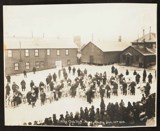 Alaska Yukon Gold Rush Era Photo Album