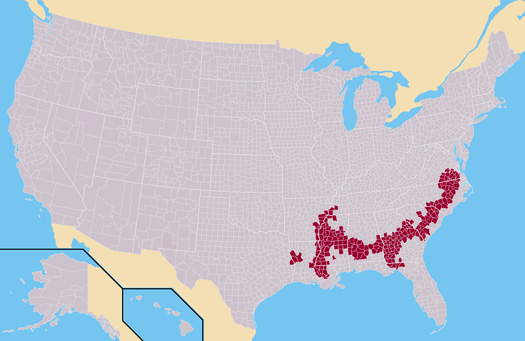 Aspen Design Summit Report: Hale County Rural Poverty Project: Slideshow: Slide 1